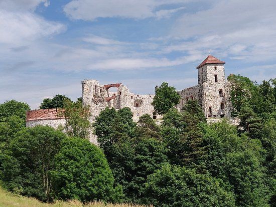 Ruiny Zamku Tenczyn